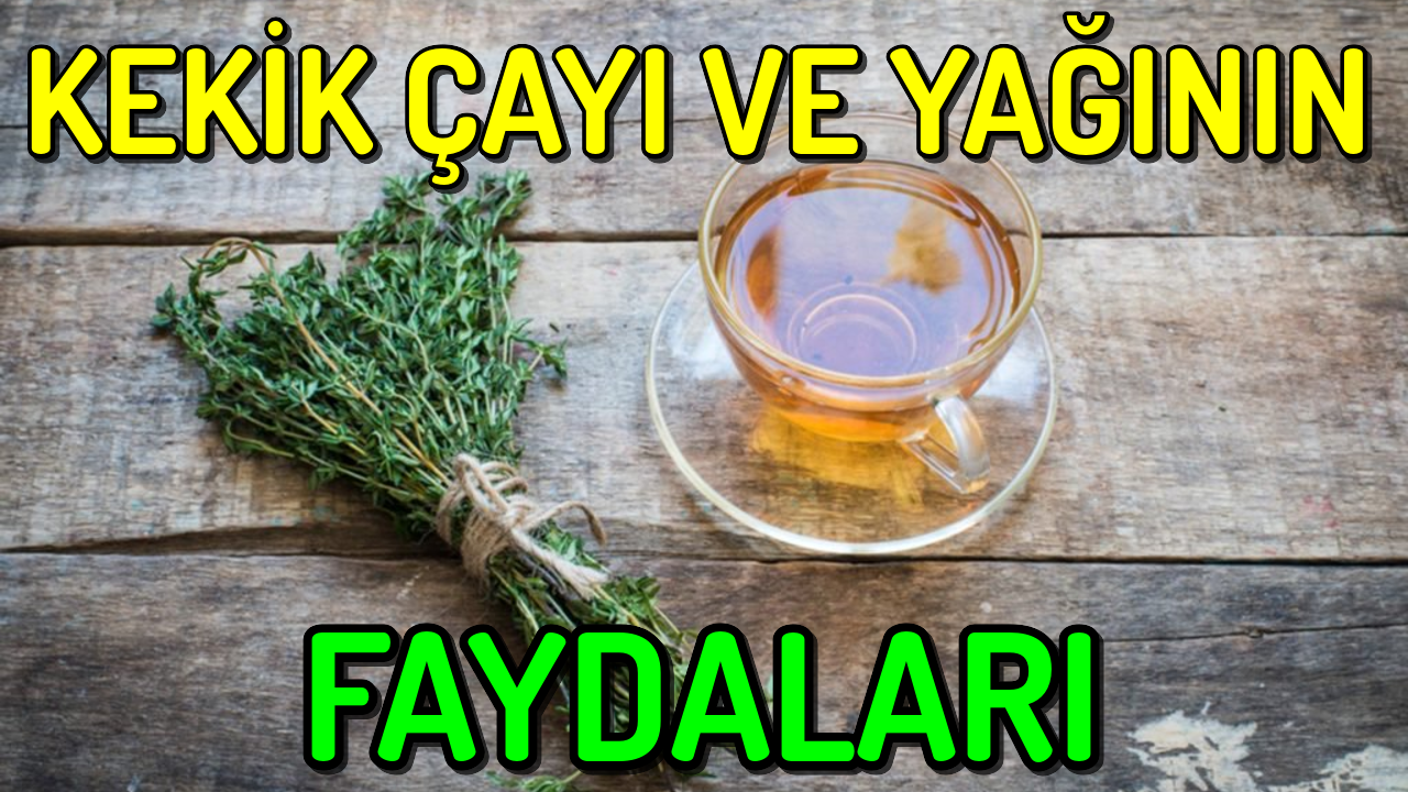 Kekik Cayi Ve Yaginin Faydalari Sifa Bul